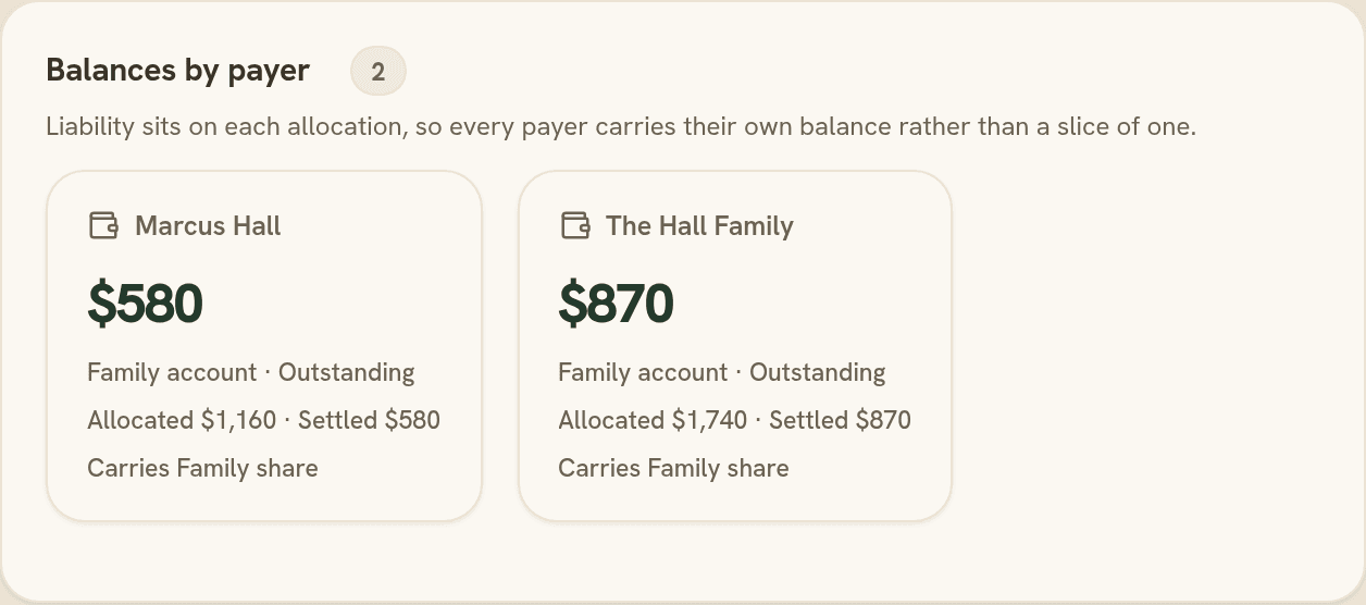 Balances by payer for the Hall family: two payers, each with their own allocated, settled and outstanding amounts.